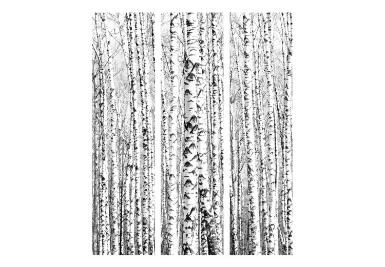 Room Divider Birch Forest (3-piece) - black and white landscape among tall trees 133172 additionalImage 3