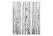 Room Divider Birch Forest (3-piece) - black and white landscape among tall trees 133172 additionalThumb 3