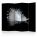 Room Separator White Feather II (5-piece) - black and white composition with a feather 133272