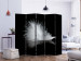 Room Separator White Feather II (5-piece) - black and white composition with a feather 133272 additionalThumb 2