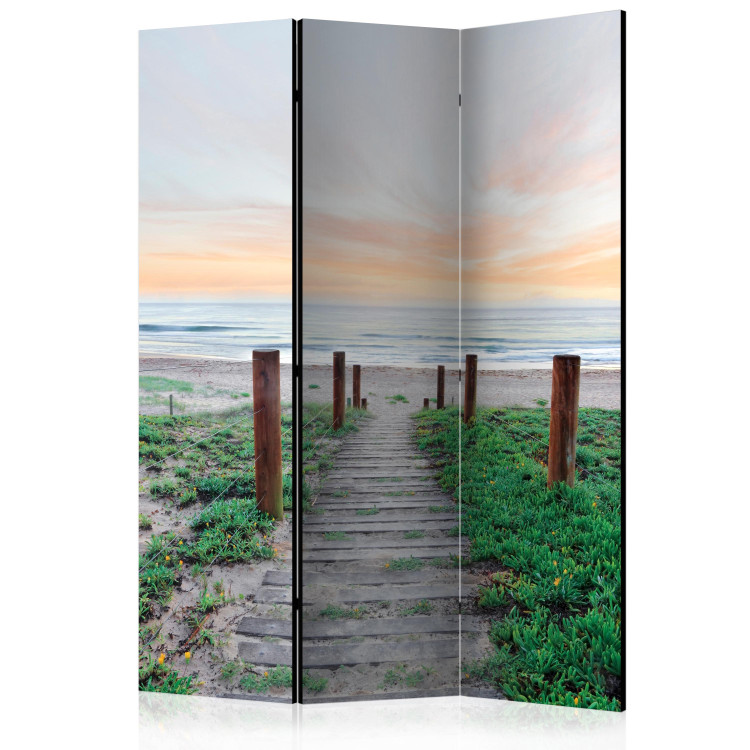 Room Divider Amidst the Grass - beach and sea landscape against a sunset backdrop 134072