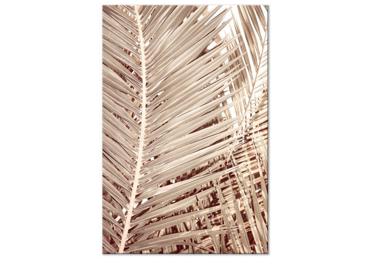 Canvas Print Dried palm - sharp, dry palm leaves on a white background 135272