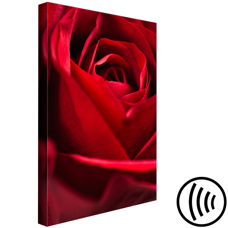 Canvas Art Print Red Flower (1-piece) - close-up of delicate rose petals 144772 additionalImage 6