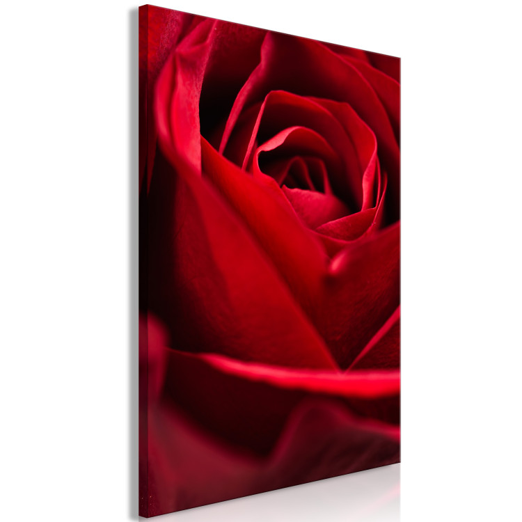 Canvas Art Print Red Flower (1-piece) - close-up of delicate rose petals 144772 additionalImage 2