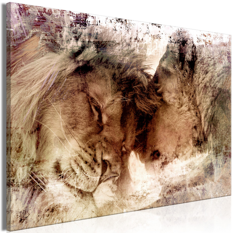 Canvas Art Print Lions (1-piece) - animals in loving harmony in warm colors 145172 additionalImage 2