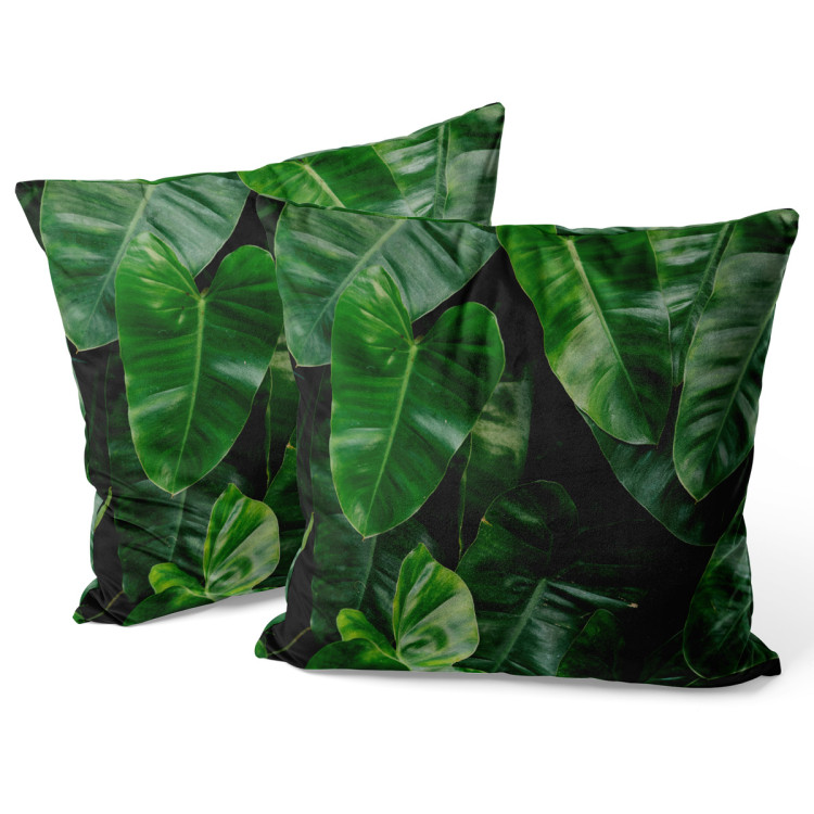 Decorative Velor Pillow Faces of greenery - a plant composition with rich Philodendron detailing 147072 additionalImage 3