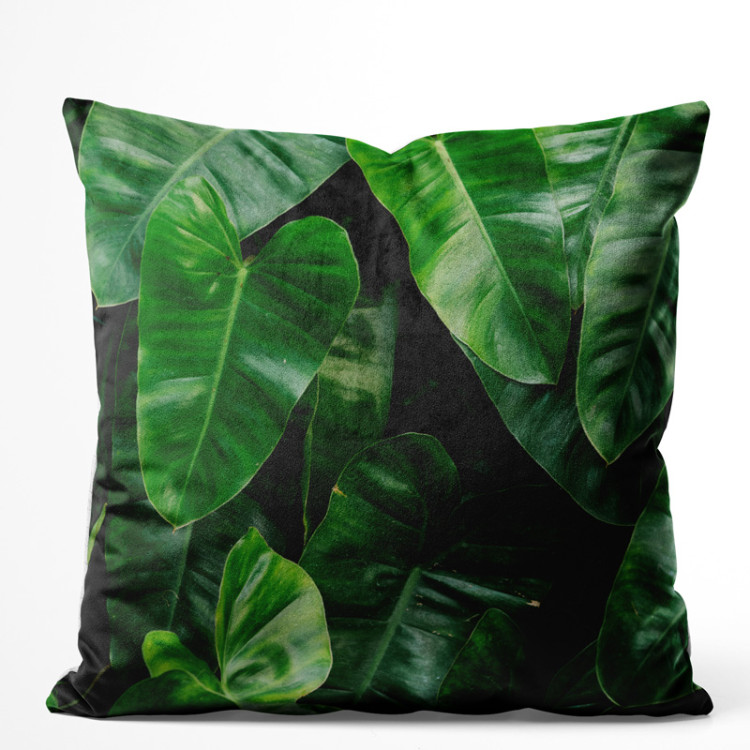 Decorative Velor Pillow Faces of greenery - a plant composition with rich Philodendron detailing 147072