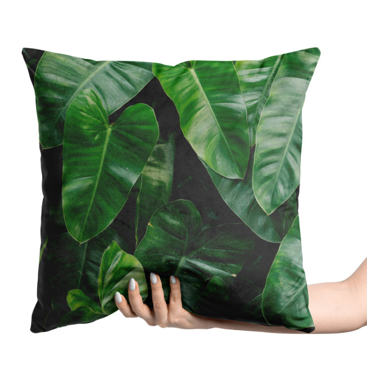 Decorative Velor Pillow Faces of greenery - a plant composition with rich Philodendron detailing 147072 additionalImage 2