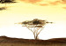 Canvas Merged with Africa I 49272 additionalThumb 2