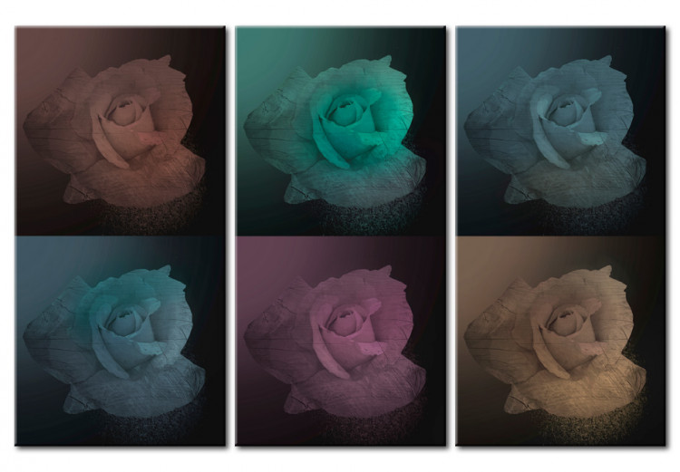 Canvas Print Six shades of rose 50172