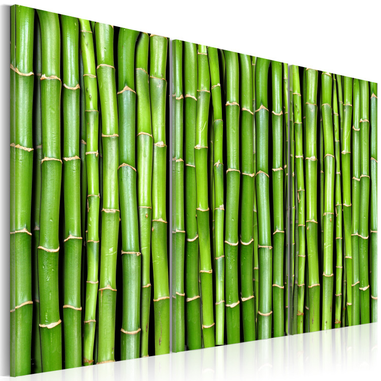 Canvas Green Bamboo - Asian triptych full of oriental plants 58772 additionalImage 2