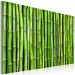 Canvas Green Bamboo - Asian triptych full of oriental plants 58772 additionalThumb 2
