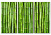 Canvas Green Bamboo - Asian triptych full of oriental plants 58772