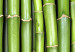 Canvas Green Bamboo - Asian triptych full of oriental plants 58772 additionalThumb 5