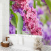 Wall Mural Touch of spring 60672 additionalThumb 8