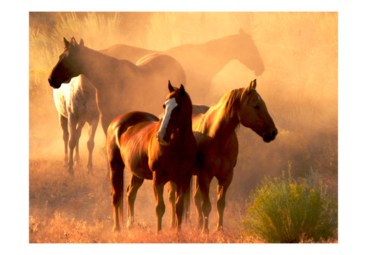 Wall Mural Wild horses of the steppe 61272 additionalImage 1