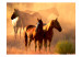 Wall Mural Wild horses of the steppe 61272 additionalThumb 1