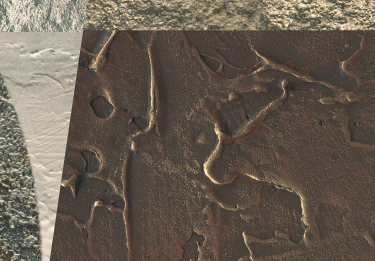 Canvas Print  Treasures of Mars  77172 additionalImage 5