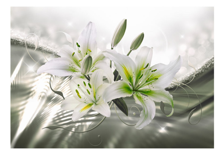 Wall Mural Beauty of the lily - white flowers on a background in green with light glow effect 93772 additionalImage 1