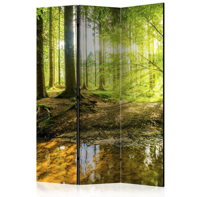 Room Divider Forest Lake - forest landscape against the glow of sunlight 95572