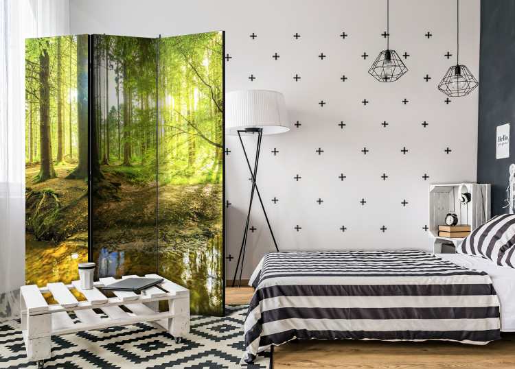 Room Divider Forest Lake - forest landscape against the glow of sunlight 95572 additionalImage 4