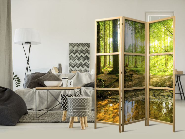 Room Divider Forest Lake - forest landscape against the glow of sunlight 95572 additionalImage 8