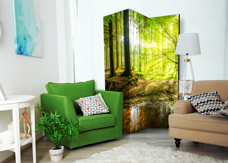 Room Divider Forest Lake - forest landscape against the glow of sunlight 95572 additionalImage 2