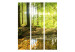 Room Divider Forest Lake - forest landscape against the glow of sunlight 95572 additionalThumb 3