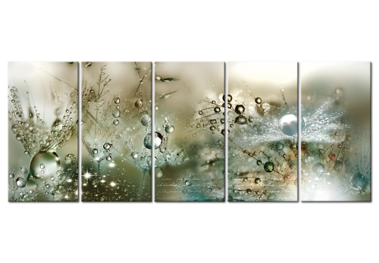 Canvas Fluffy Dandelions (5-piece) - Flowers with Water Droplets in Greenery 105182
