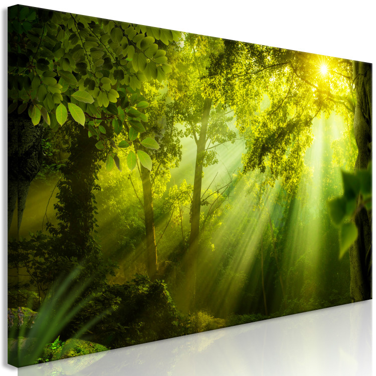 Canvas Art Print In the Sunlight (1-part) Narrow - Fairy Landscape of Green Forest 108082 additionalImage 2
