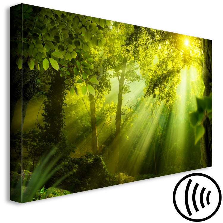 Canvas Art Print In the Sunlight (1-part) Narrow - Fairy Landscape of Green Forest 108082 additionalImage 6