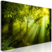 Canvas Art Print In the Sunlight (1-part) Narrow - Fairy Landscape of Green Forest 108082 additionalThumb 2