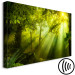 Canvas Art Print In the Sunlight (1-part) Narrow - Fairy Landscape of Green Forest 108082 additionalThumb 6