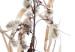 Poster Autumn Herbs - simple composition with dried plants on a white background 119182 additionalThumb 8