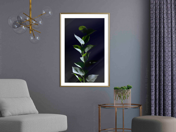 Wall Poster In the Moonlight - botanical composition with a plant on a black background 121882 additionalImage 13