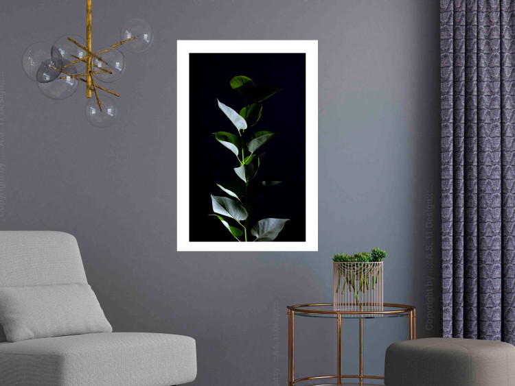 Wall Poster In the Moonlight - botanical composition with a plant on a black background 121882 additionalImage 8