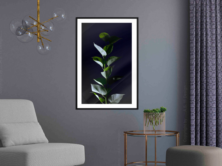 Wall Poster In the Moonlight - botanical composition with a plant on a black background 121882 additionalImage 9