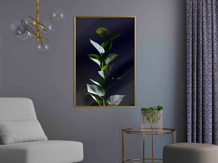 Wall Poster In the Moonlight - botanical composition with a plant on a black background 121882 additionalImage 10