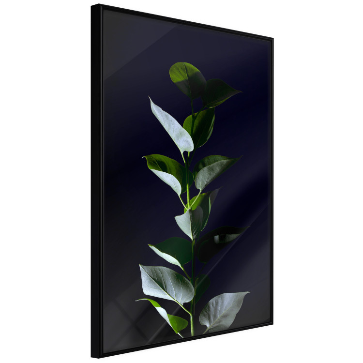 Wall Poster In the Moonlight - botanical composition with a plant on a black background 121882 additionalImage 2