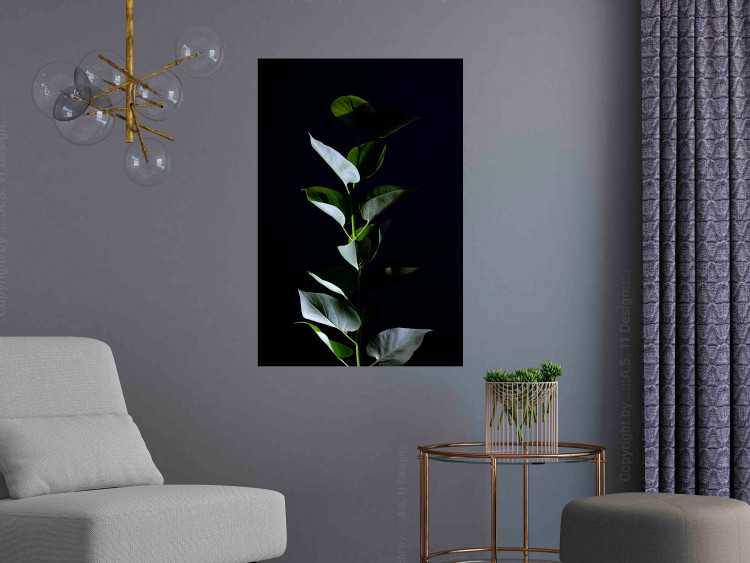 Wall Poster In the Moonlight - botanical composition with a plant on a black background 121882 additionalImage 17