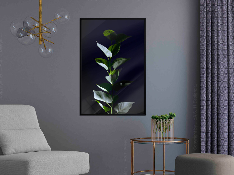 Wall Poster In the Moonlight - botanical composition with a plant on a black background 121882 additionalImage 7