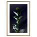 Wall Poster In the Moonlight - botanical composition with a plant on a black background 121882 additionalThumb 14