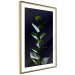 Wall Poster In the Moonlight - botanical composition with a plant on a black background 121882 additionalThumb 11