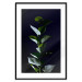 Wall Poster In the Moonlight - botanical composition with a plant on a black background 121882 additionalThumb 15