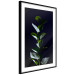 Wall Poster In the Moonlight - botanical composition with a plant on a black background 121882 additionalThumb 12