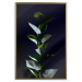 Wall Poster In the Moonlight - botanical composition with a plant on a black background 121882 additionalThumb 16
