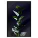 Wall Poster In the Moonlight - botanical composition with a plant on a black background 121882 additionalThumb 18