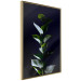 Wall Poster In the Moonlight - botanical composition with a plant on a black background 121882 additionalThumb 3