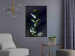 Wall Poster In the Moonlight - botanical composition with a plant on a black background 121882 additionalThumb 7