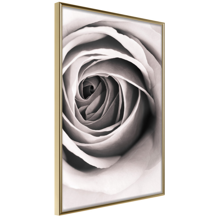 Poster Rose Whirl - pattern imitating the appearance of a rose in an infinite swirl 122282 additionalImage 12